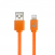 CABLE LIGHTNING XTECH 3FT